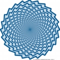 螺旋の渦に見える同心円の錯視